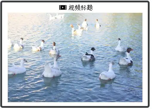 谷歌Gemini演示视频被指造假，多模态交互竟是剧本？