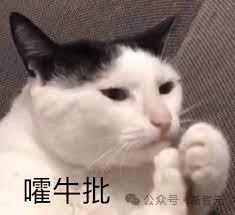 量子物理学家称Claude 3能搞科研，门萨测试获101分-第30张图片-世界杯直播平台-世界杯2026直播平台-免费观看官方-V3.6.9